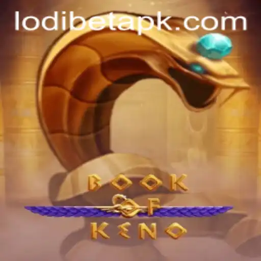 Enter the Exciting World of BookOfKeno